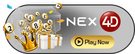 Nex4D