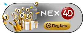 Nex4D