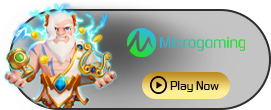 MicroGaming