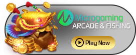 MicroGaming